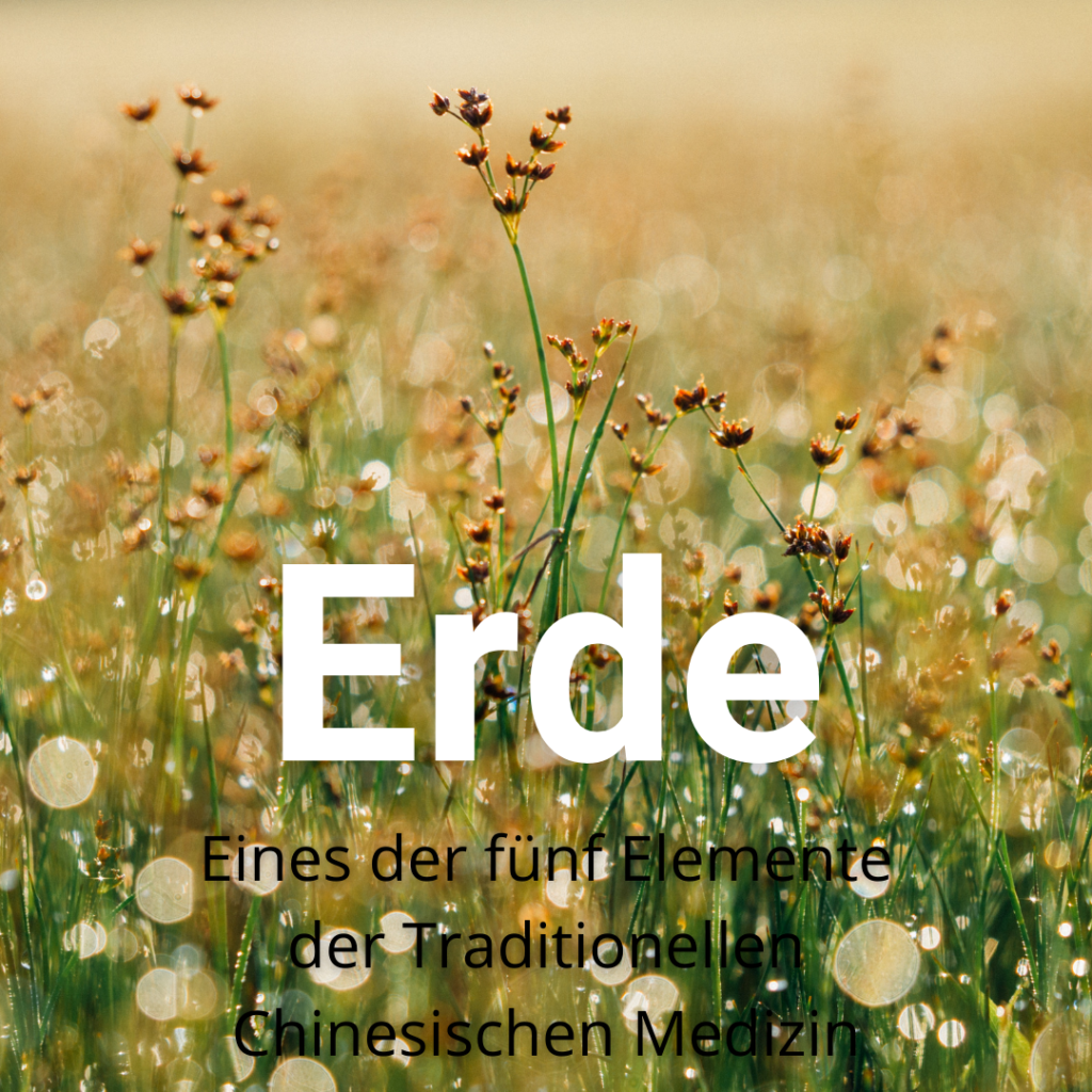 Erde. Eines der fünf Elemente der Traditionellen Chinesischen Medizin