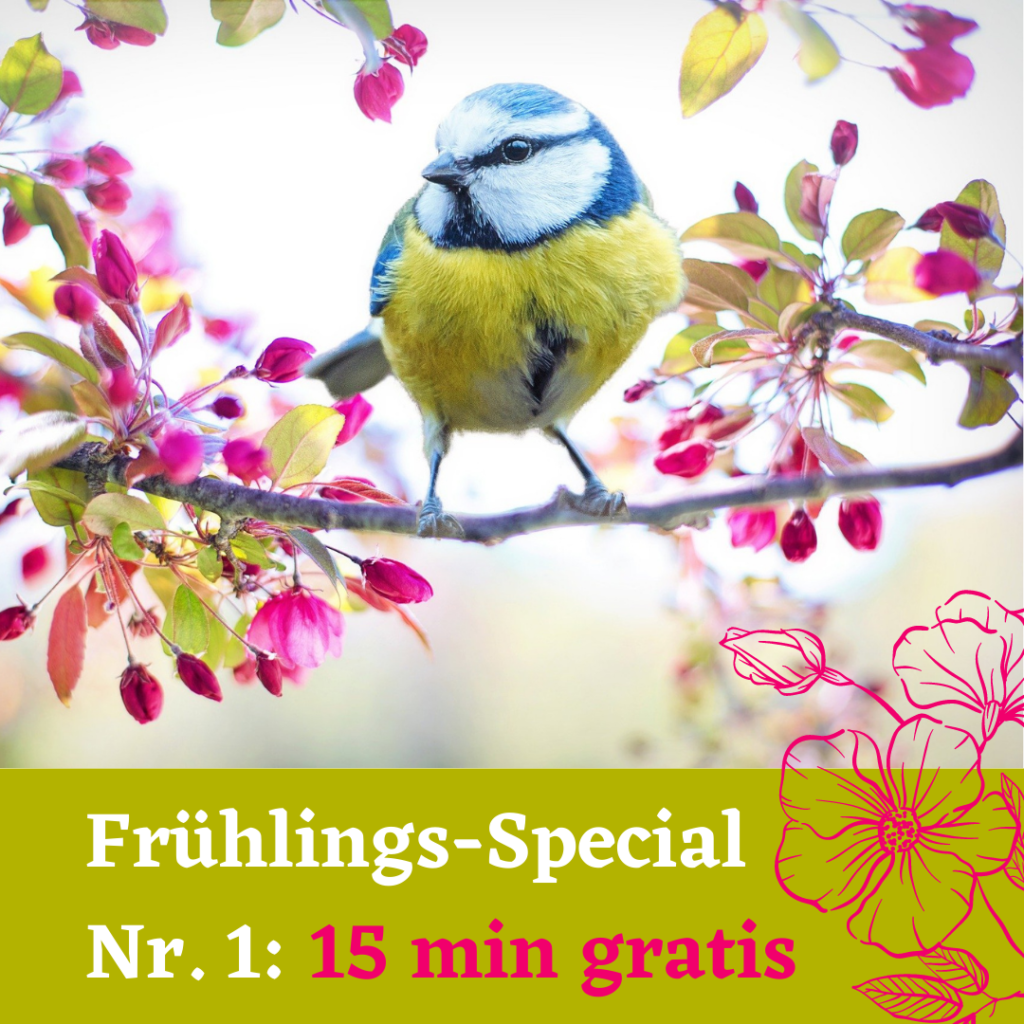 Frühlings-Special Nr. 1: 60 min Massage buchen + 15 Gratis-Massageminuten dazu.