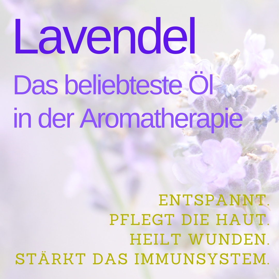 Lavendelöl, das beliebteste Öl in der Aromatherapie