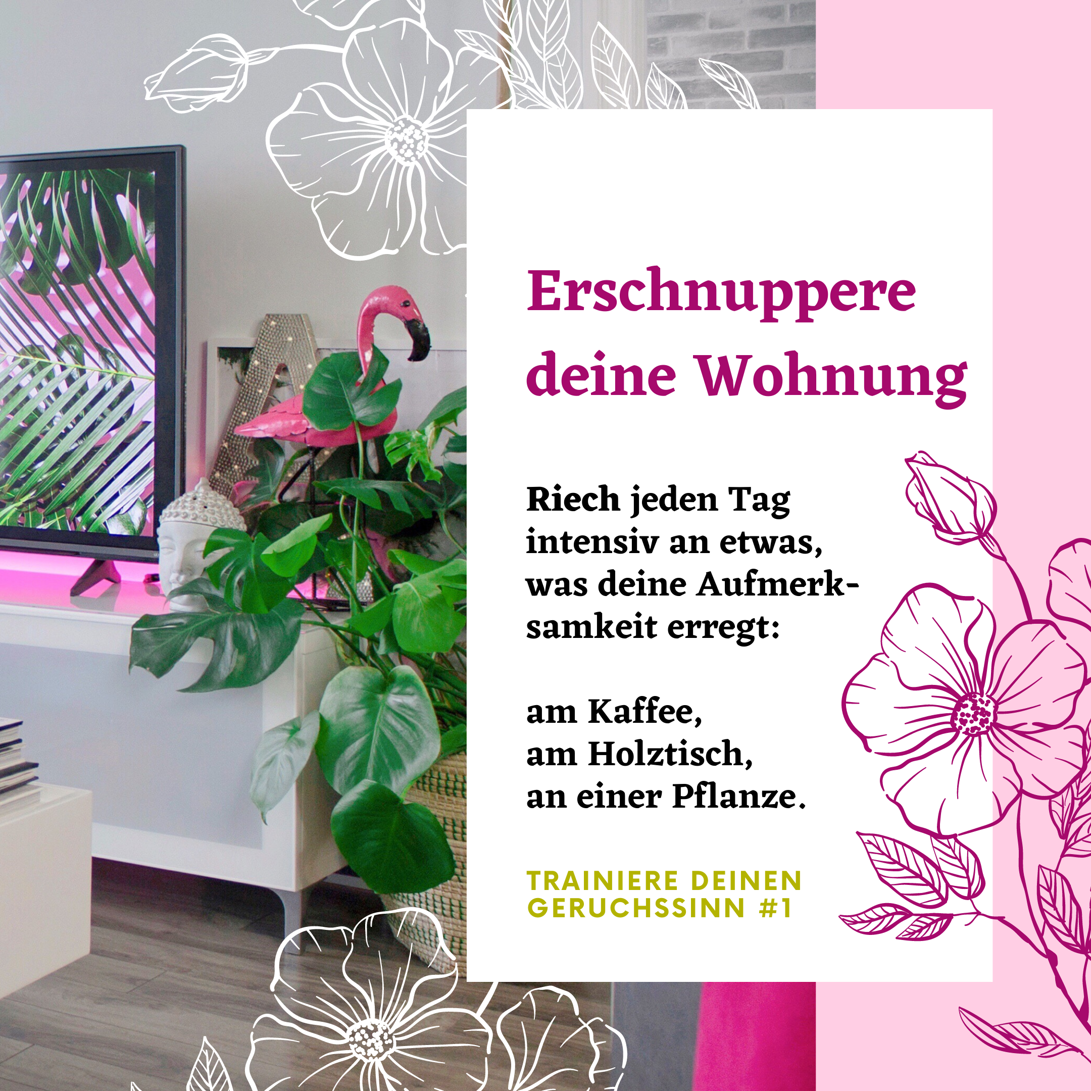 Trainiere deinen Geruchssinn. Erschnuppere deine Wohnung